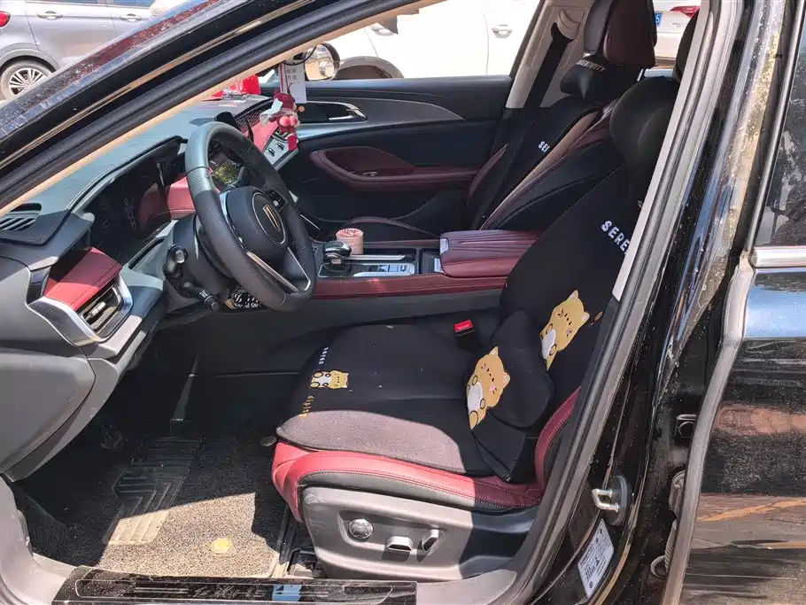Hongqi H5 2024 2.0T Automatic Smart Connect Flag Smooth Edition фото 9