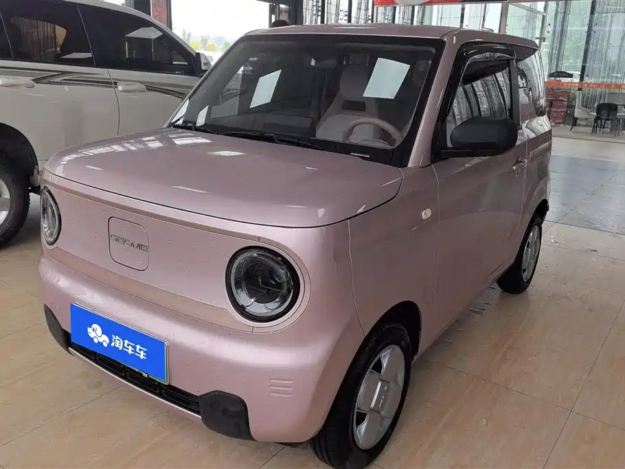 Geely Galaxy Panda 2024 Panda mini 200km Endurance Bear
