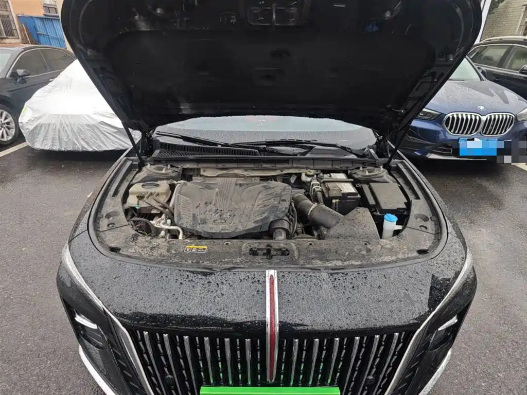 Hongqi H5 2023 1.5T DCT Smart Connect Flag Rhythm фото 11