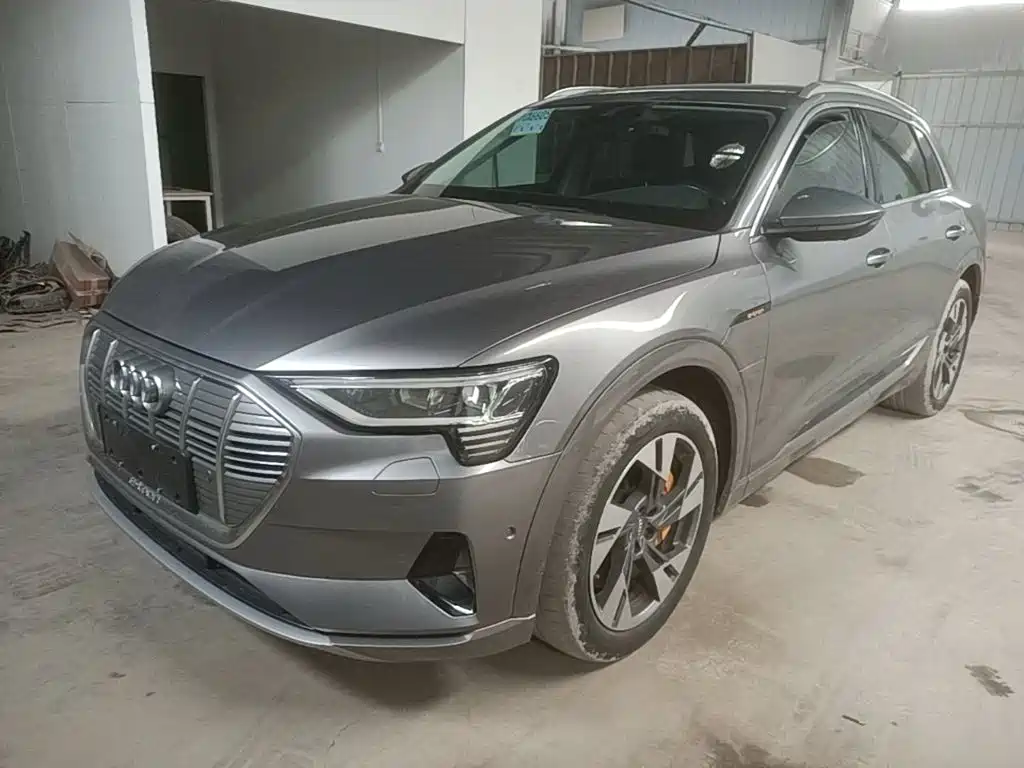Audi e-tron (Import) 2019 55 quattro Technology