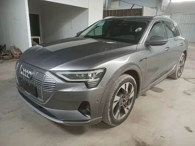  Audi Audi e-tron (Import) 2019 55 quattro Technology