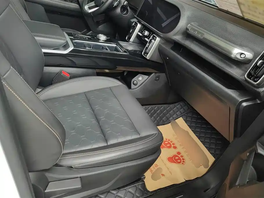 Haval Big Dog 2021 2.0T DCT 4WD Chinese Rural Dog Edition фото 8