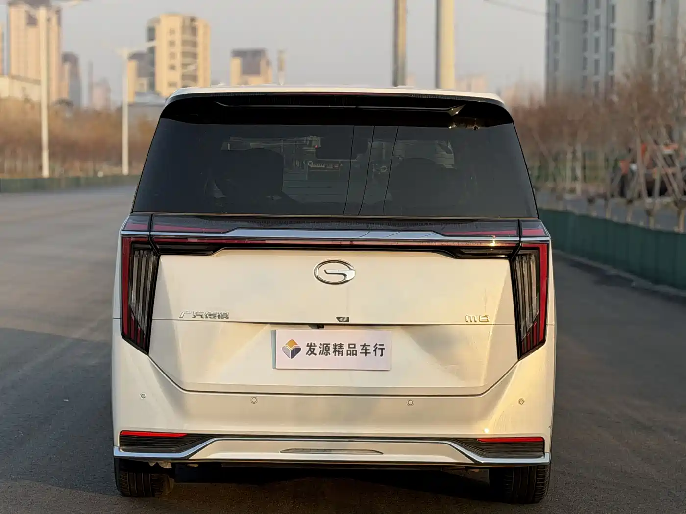 GAC Trumpchi Trumpchi M8 2024 Master Series 400T Premium Edition фото 17