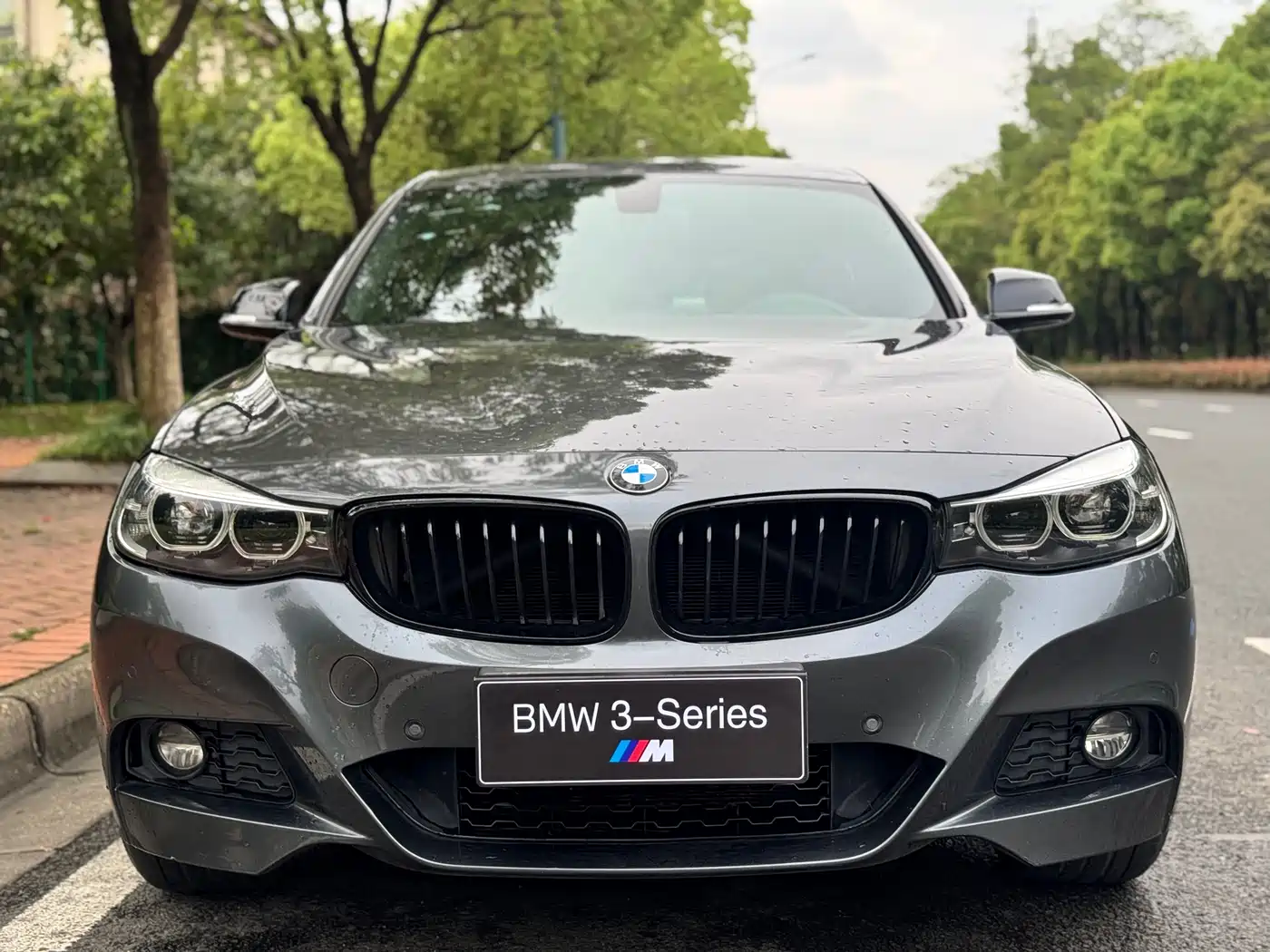 BMW 3 Series GT 2020 320i M Sport Black Night Edition фото 2