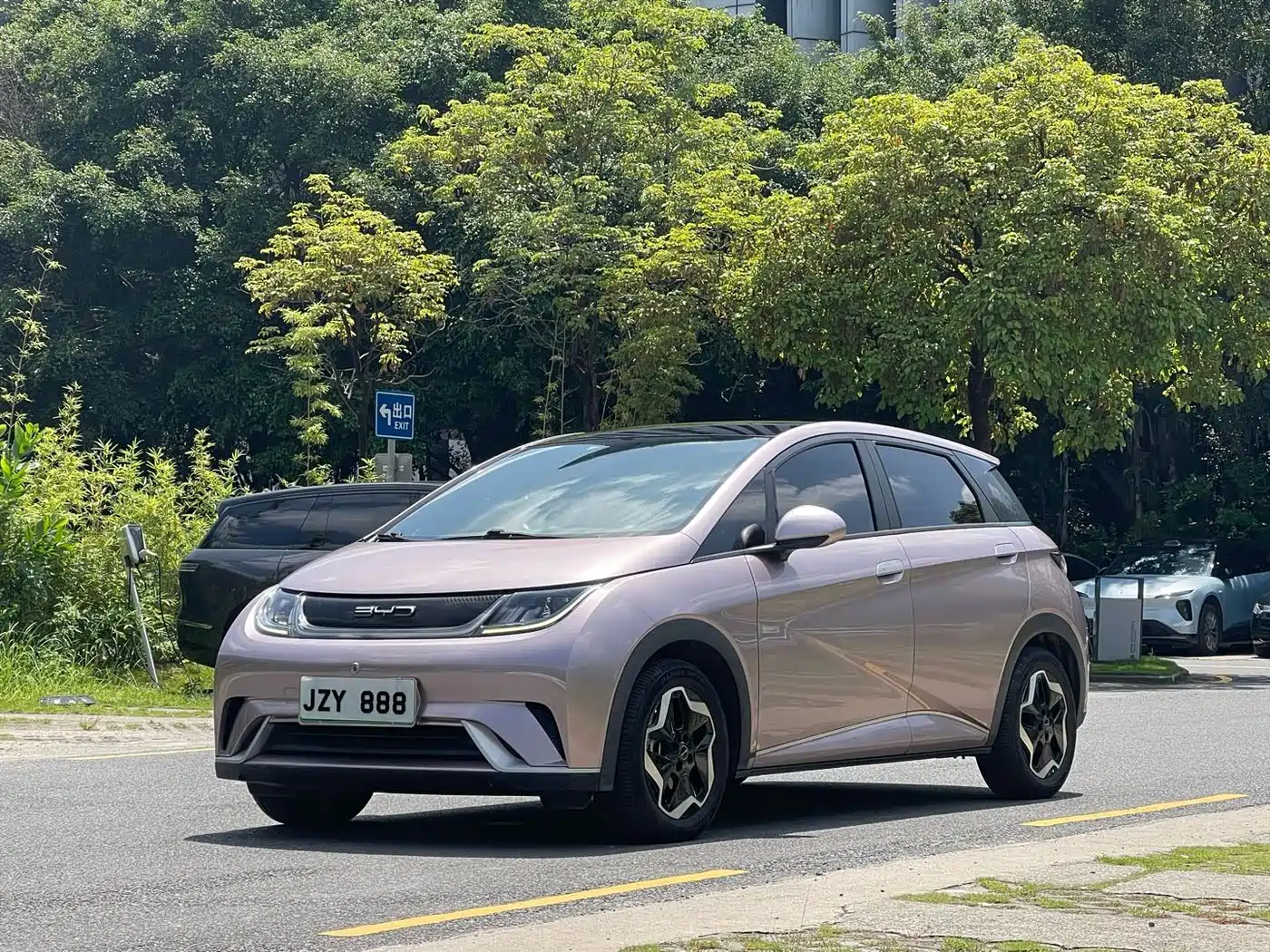 BYD Dolphin 2021