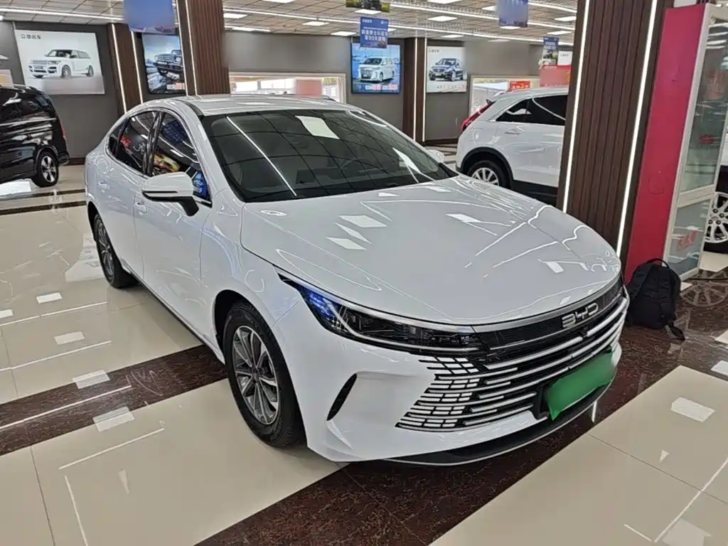 Фото 4 - BYD Destroyer 05