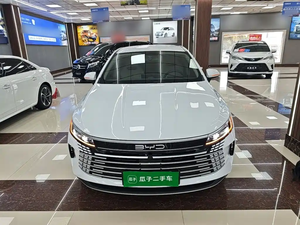 2025 BYD Destroyer 05