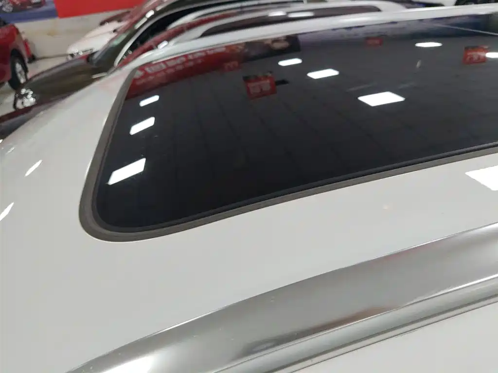 Hongqi HS3 2023 1.5T 2WD Virtue Edition фото 19