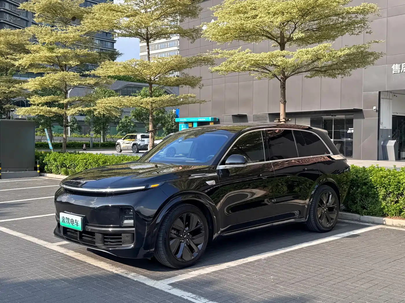 Li Auto Li L8 2023 Pro