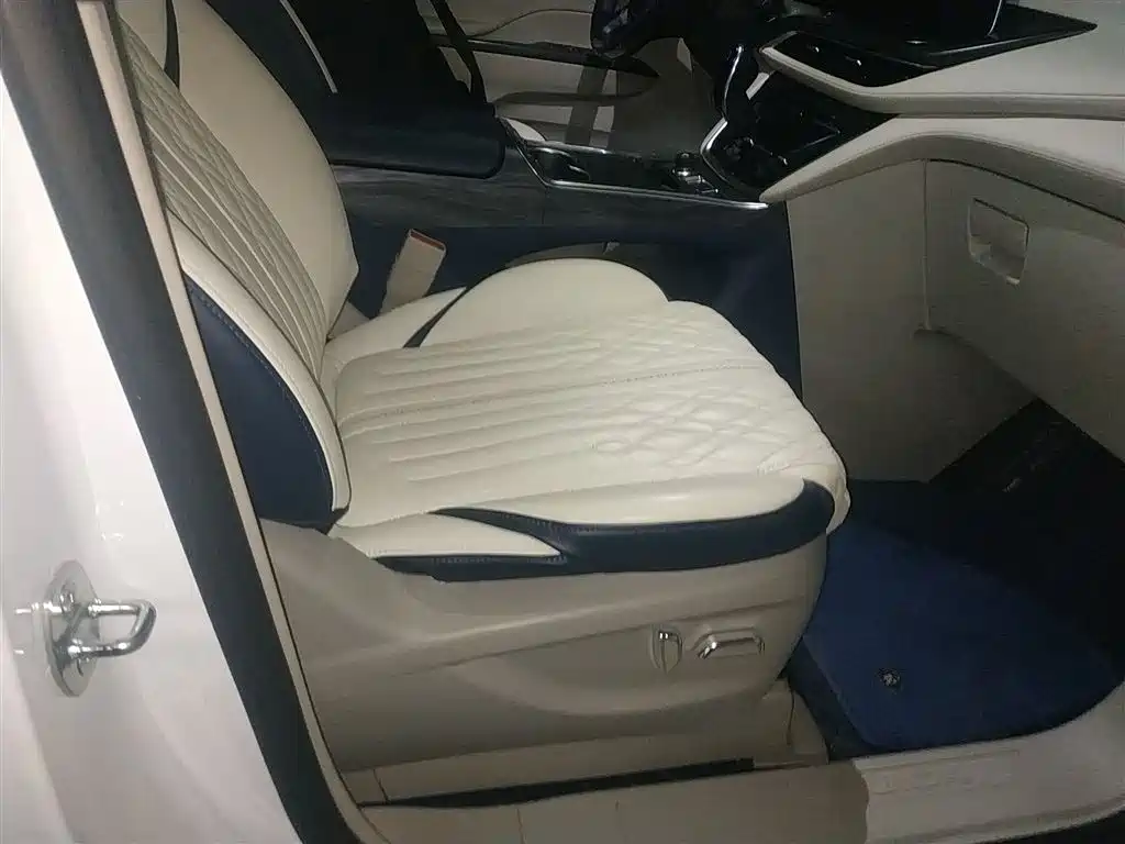 Buick GL8 2021 ES Landlord 653T Comfort фото 24