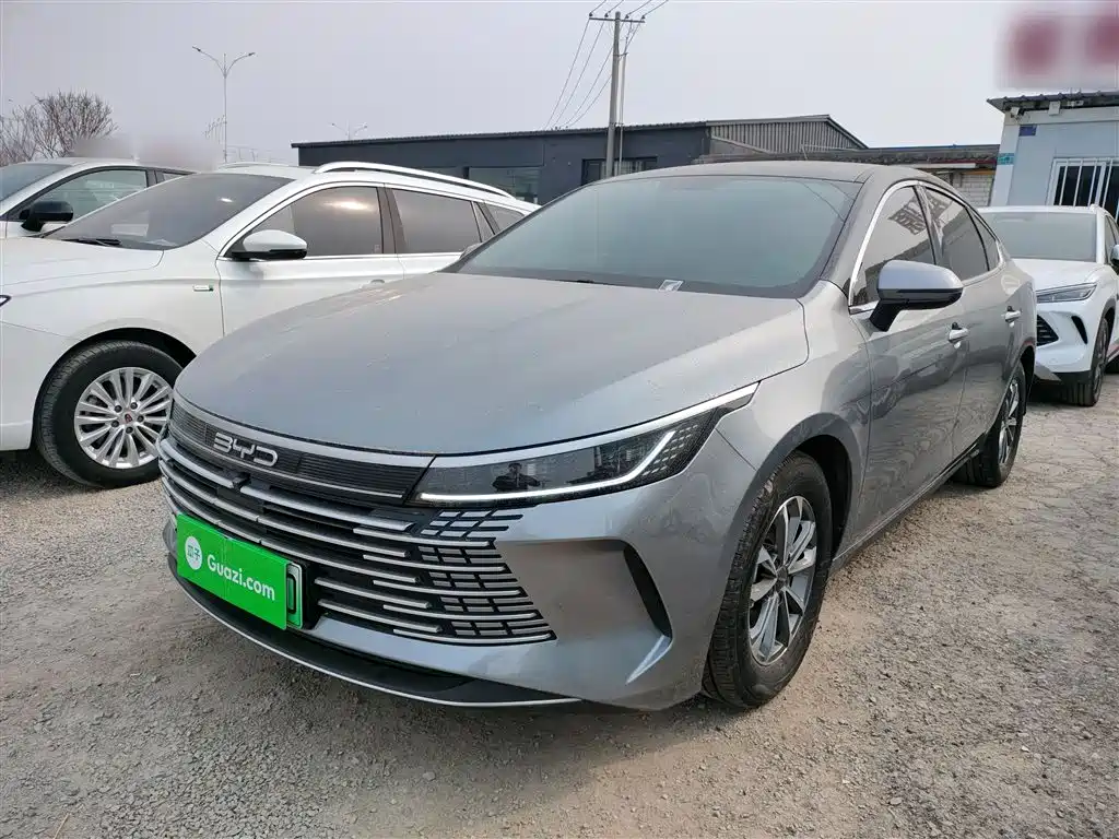BYD Destroyer 05 2023 Champion Edition DM-i 55KM Luxury
