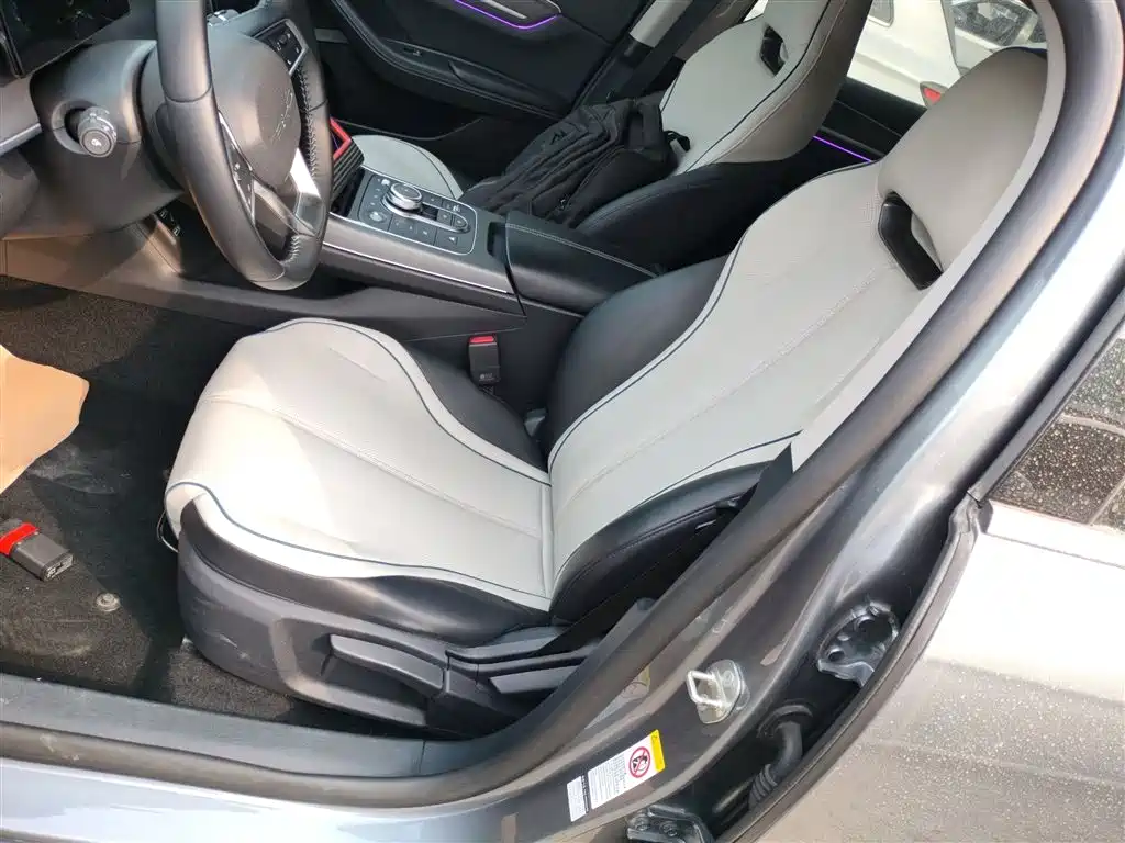BYD Destroyer 05 2023 Champion Edition DM-i 55KM Luxury фото 15