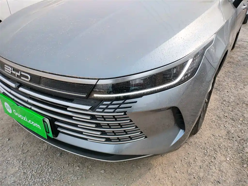 BYD Destroyer 05 2023 Champion Edition DM-i 55KM Luxury фото 24