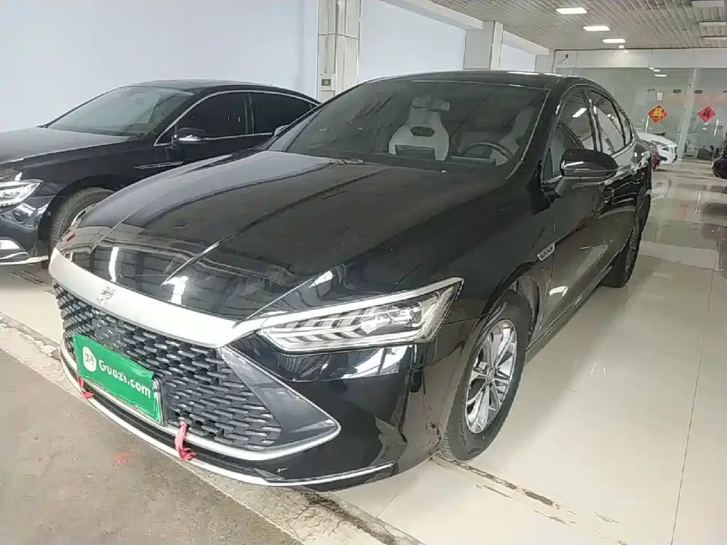 BYD Qin PLUS 2024 Glory Edition DM-i 55KM Leading