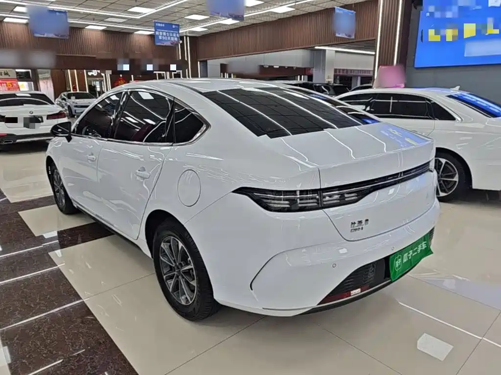 2025 BYD Destroyer 05