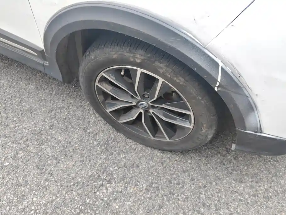 SWM Motor SWM X3 2021 2020 1.5L Manual Premium 7-seater