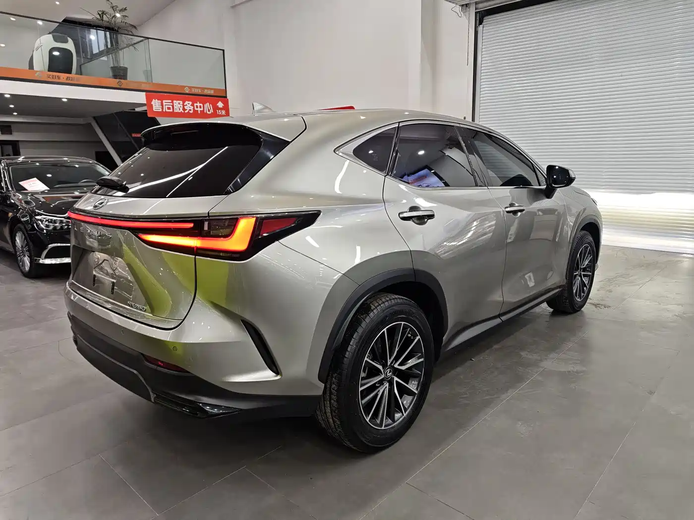 LEXUS NX