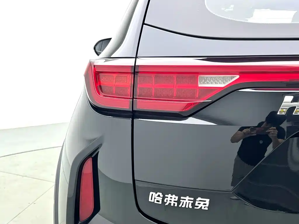 Haval Chitu 2022 2021 Turbo Edition 1.5T Golden Rabbit