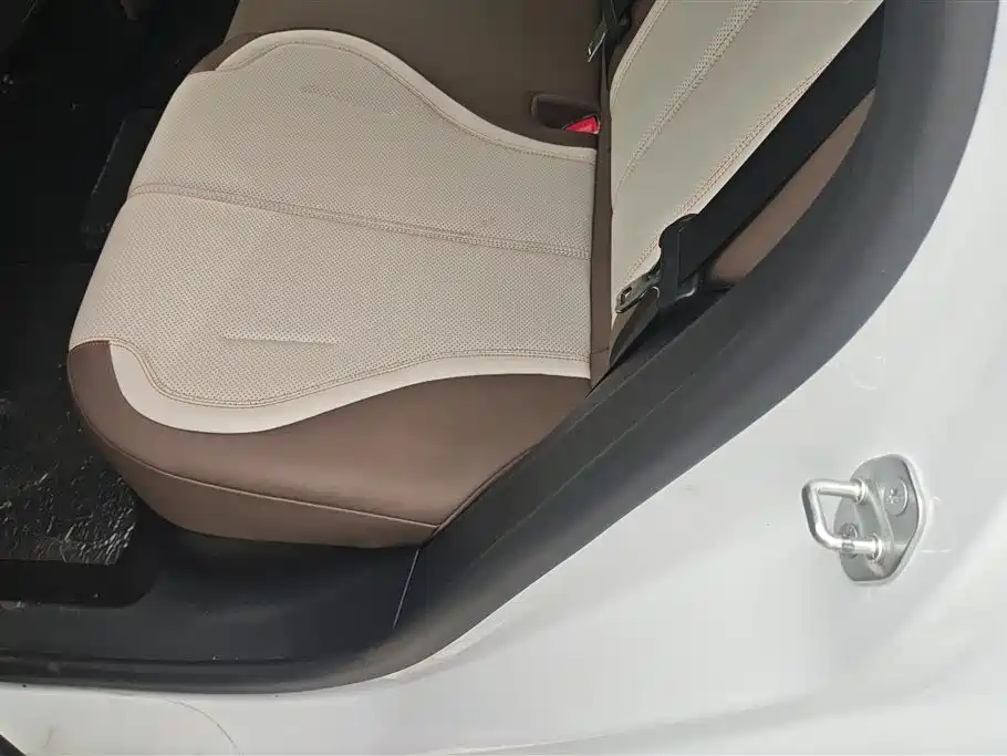 BYD Qin PLUS 2024 Glory Edition DM-i 55KM Leading фото 11