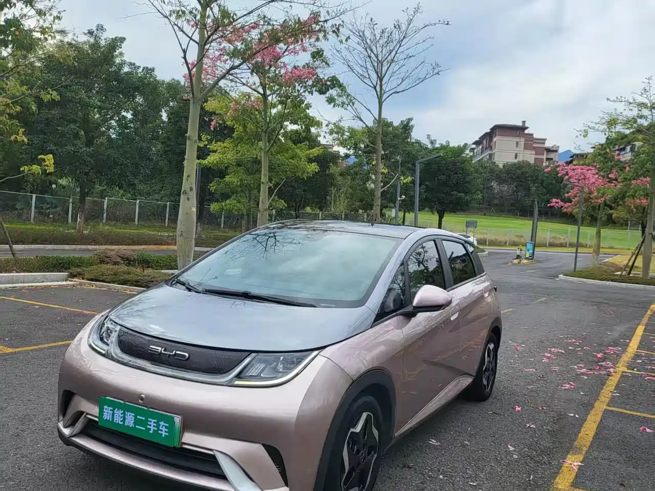 BYD Dolphin 2021 Model 405km Fashion Edition