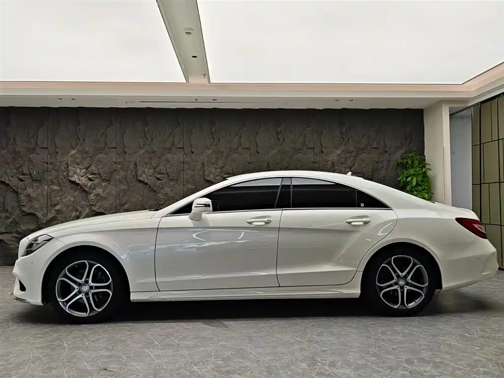 Mercedes-Benz CLS 2015 CLS 260 фото 3