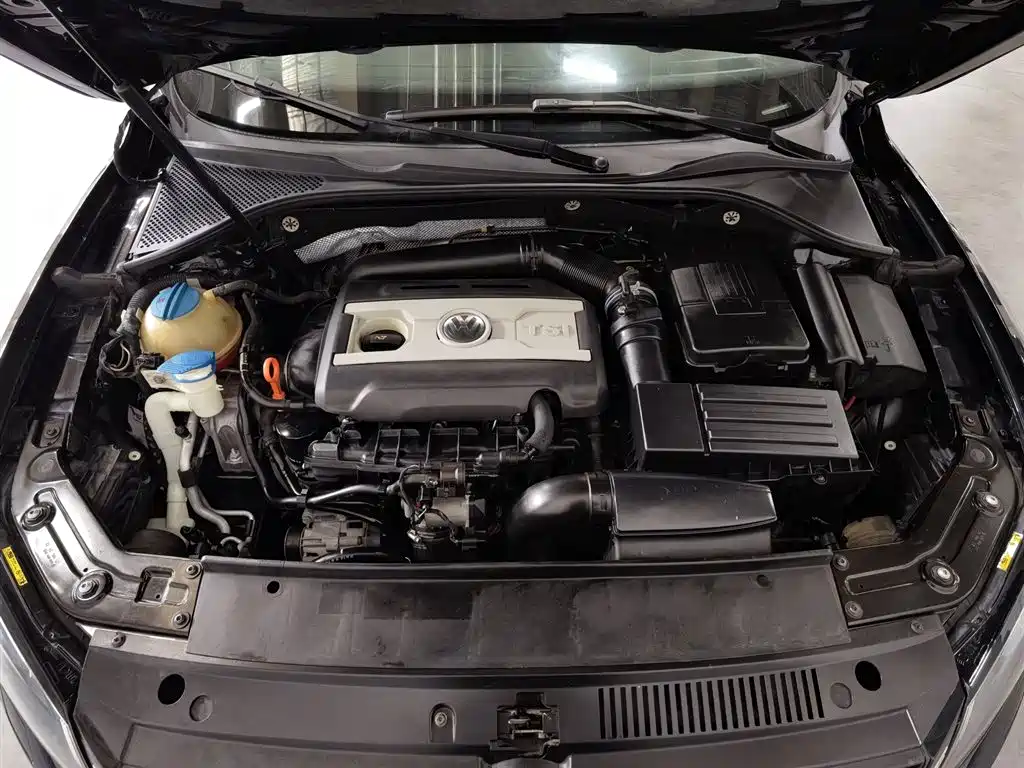Volkswagen Passat 2011 1.8TSI DSG Royal Edition фото 6