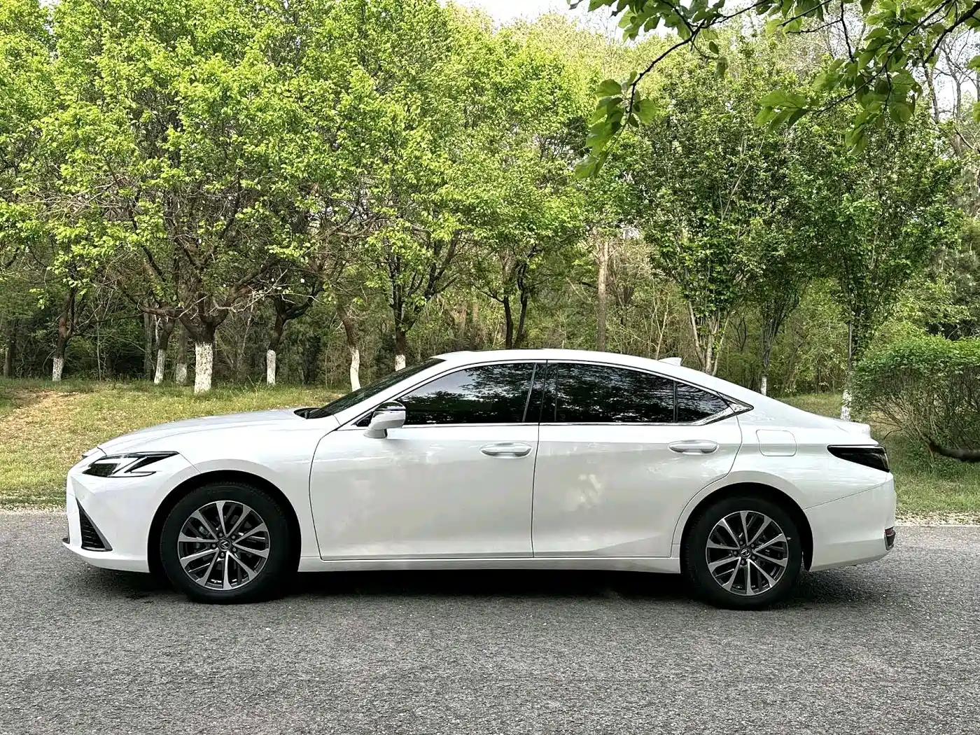 Lexus ES 2025 200 Ultimate Edition фото 7