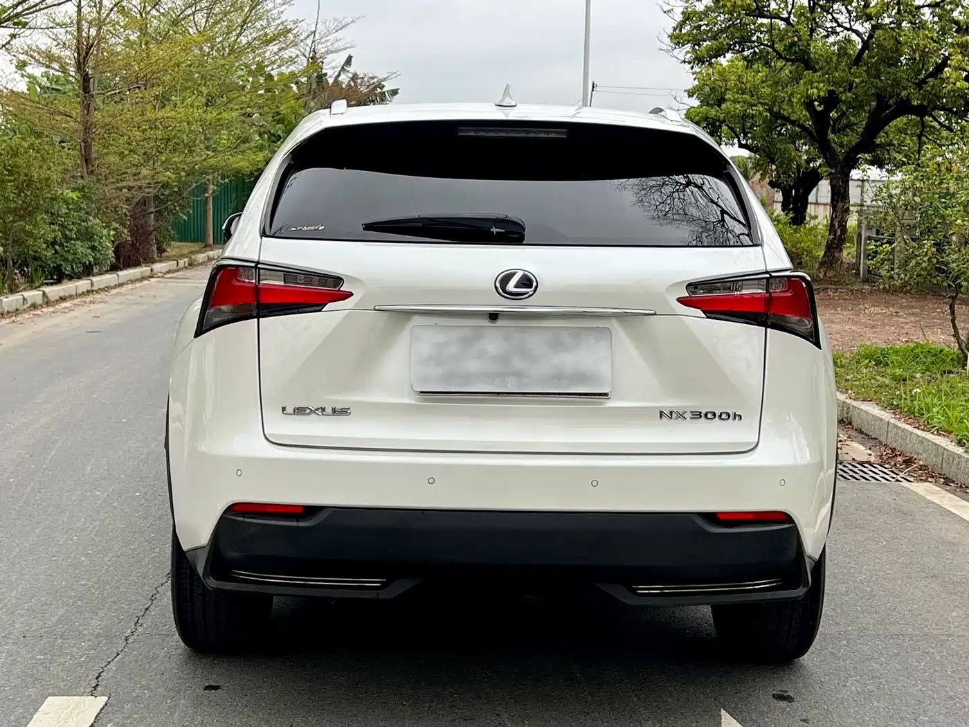 Lexus NX 2015 300h FWD Luxury фото 8