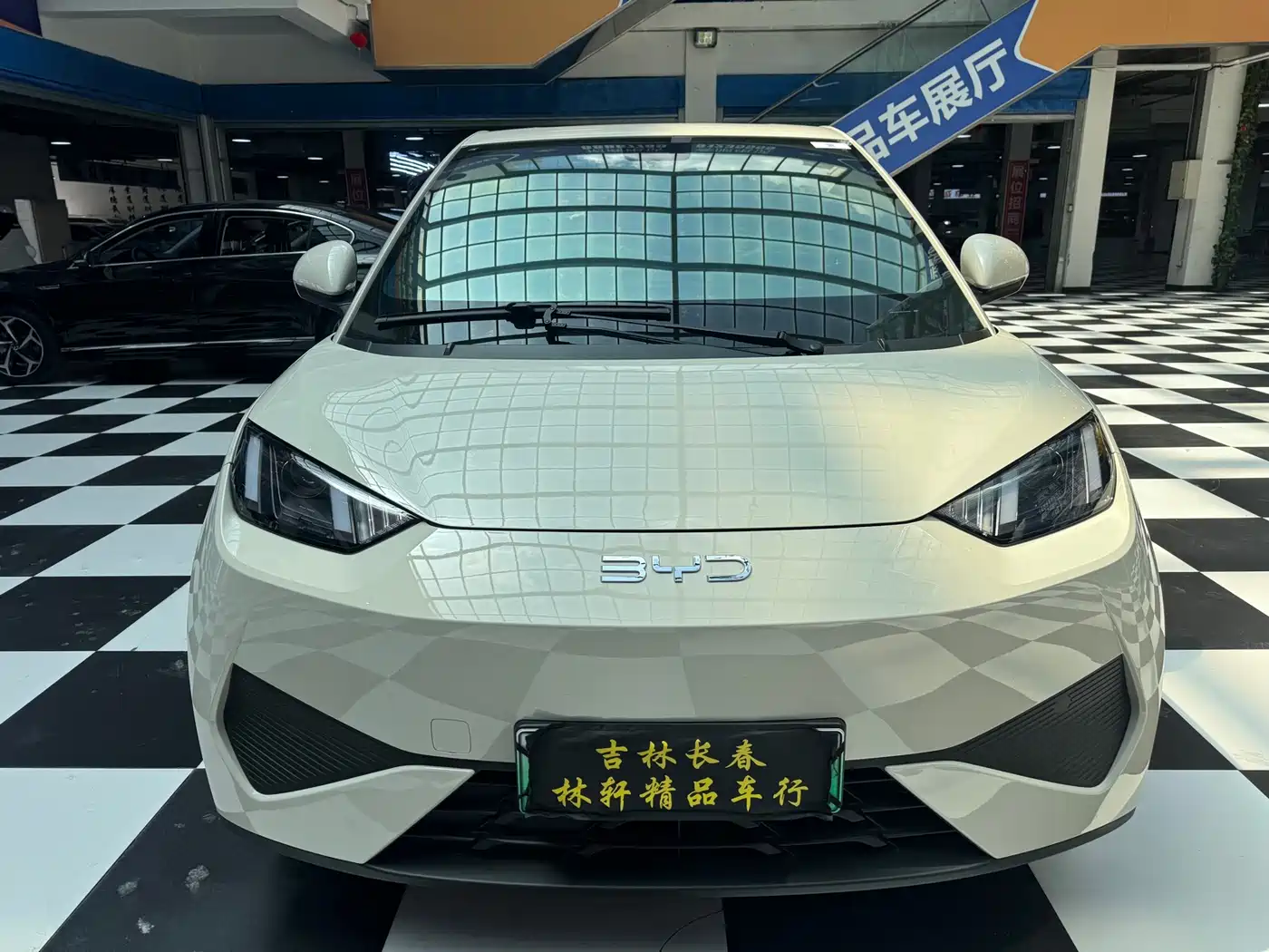 BYD Seagull 2025 305km Vitality фото 5