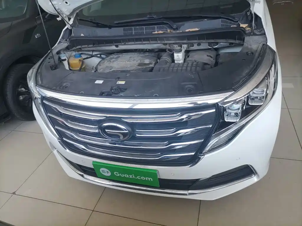GAC Trumpchi Trumpchi M8 2018 320T Flagship Edition фото 20