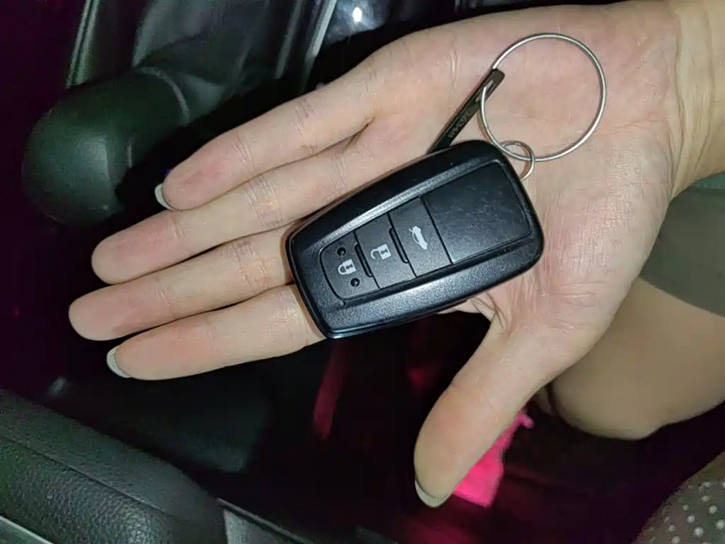 Toyota Levin 2019 185T CVT Luxury Edition China VI фото 9