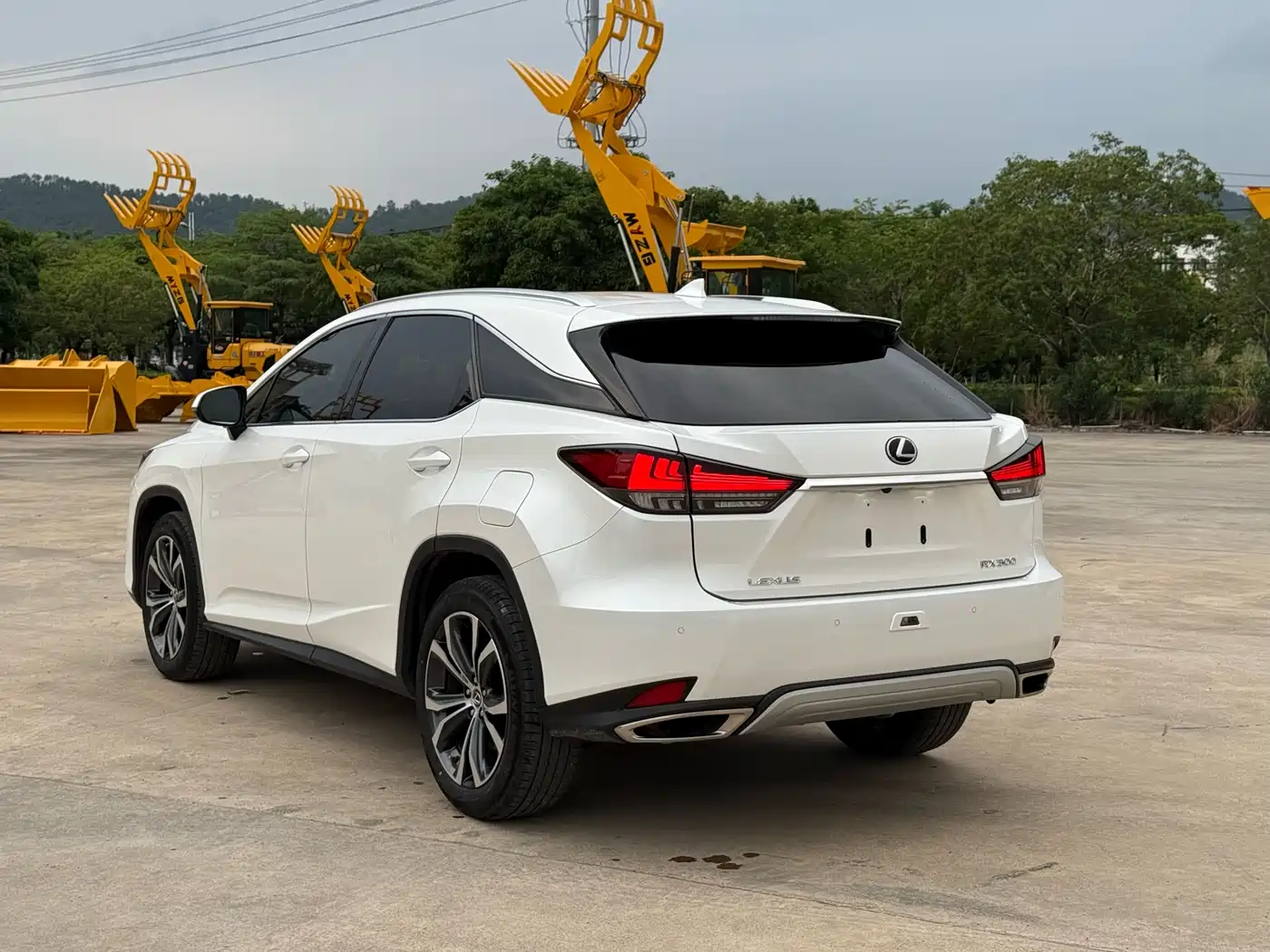 Lexus RX 2020 300 AWD Elegance Edition China V фото 6
