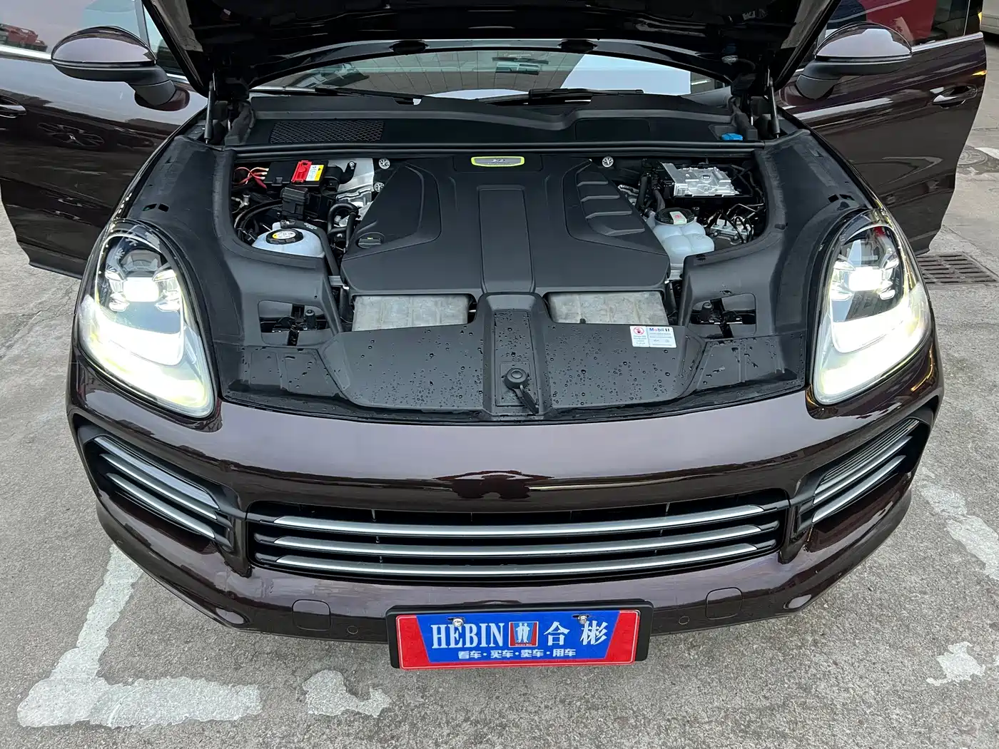 Porsche Cayenne New Energy 2019 2019 Cayenne E-Hybrid 2.0T