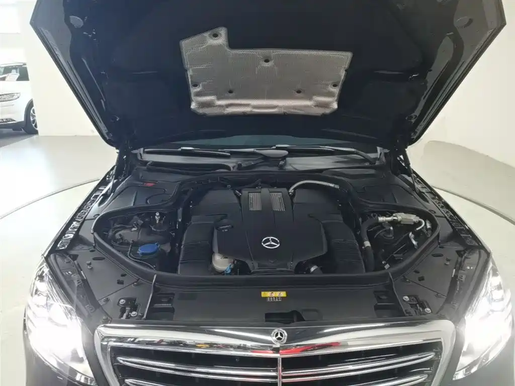 Mercedes-Benz S-Class 2018 S 320 L фото 20