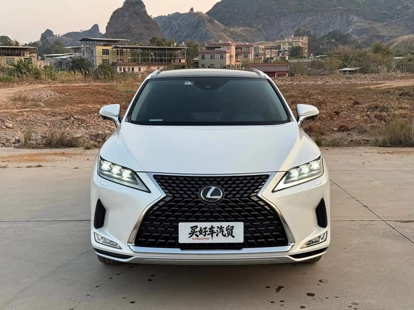 Lexus RX 2020 300 4WD Elegance Edition China VI фото 2