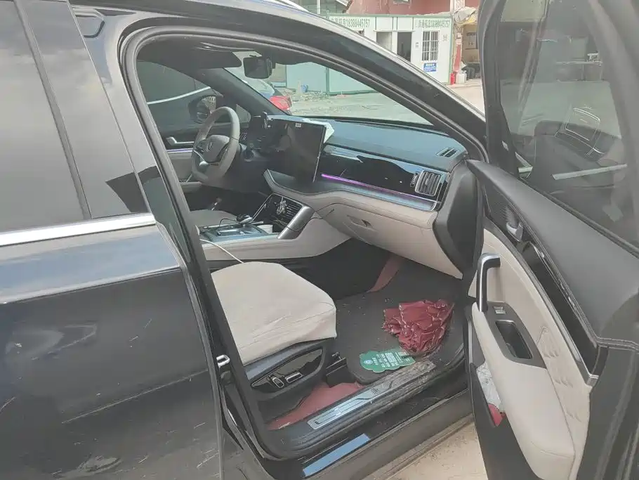 BYD Tang New Energy 2025 2025 DM-i 115KM Premium