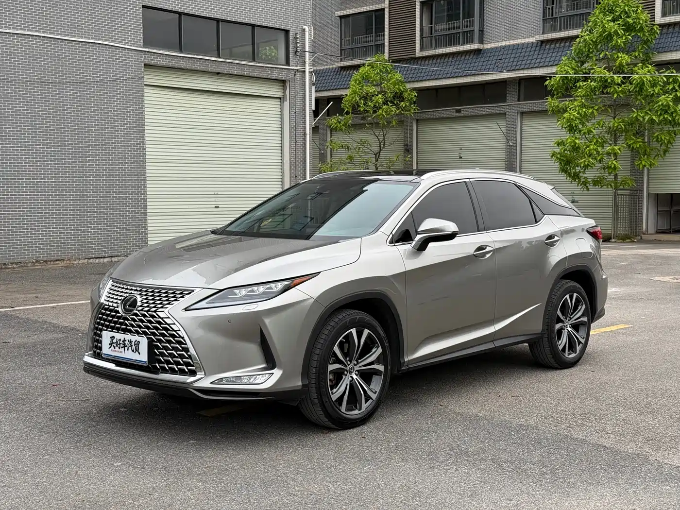 Lexus RX 2021 300 AWD Special Edition
