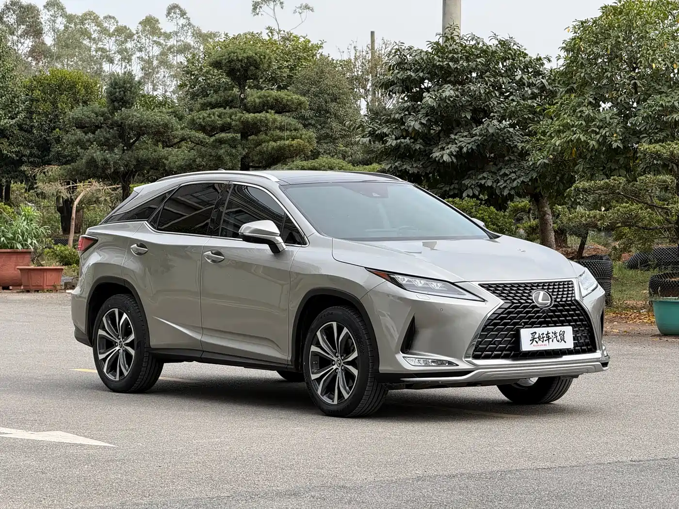 Lexus RX 2020 300 4WD Elegance Edition China VI фото 3