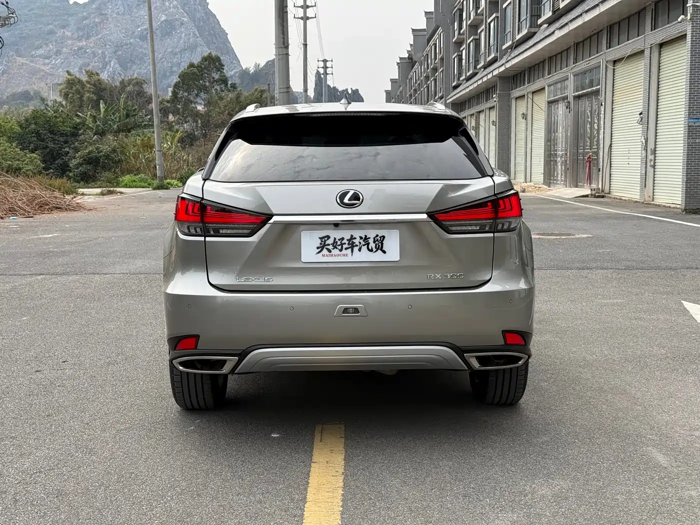 Lexus RX 2020 300 4WD Elegance Edition China VI фото 10