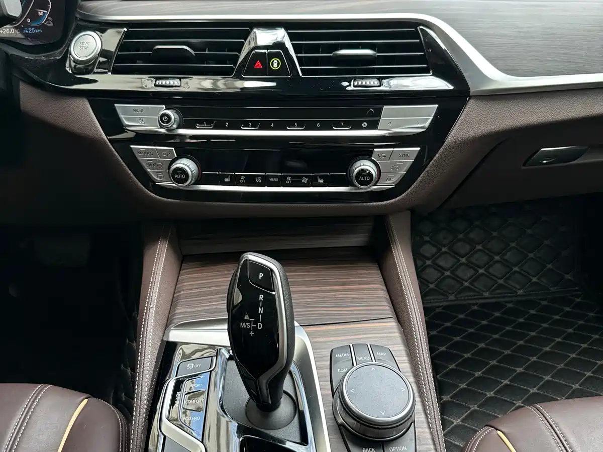 BMW 5 Series New Energy 2020 530Le Range Upgrade Luxury Package фото 9