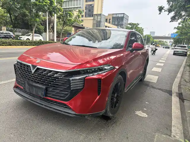  Venucia Venucia Big V 2021 260T Rising Star Edition