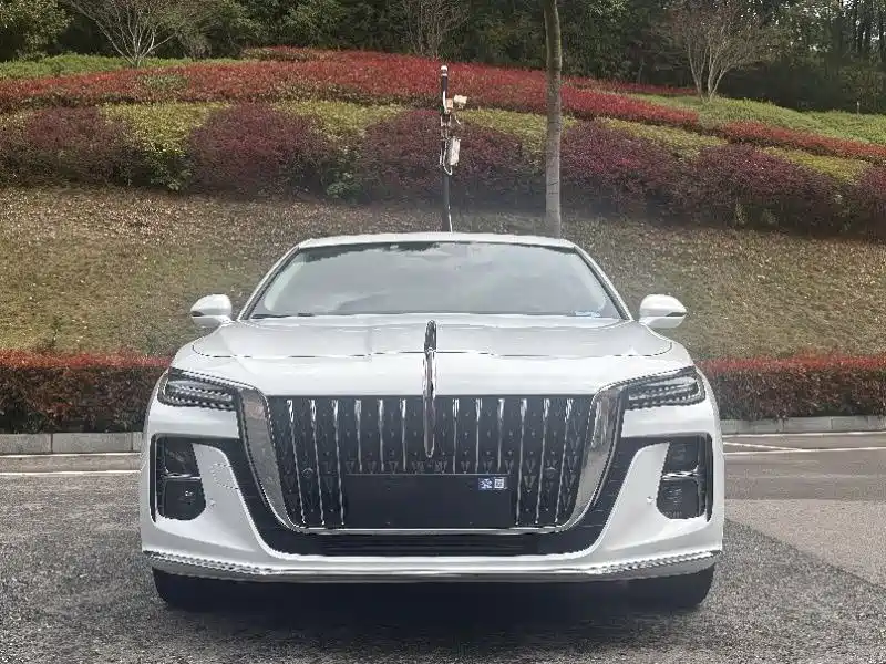 Hongqi H5 2023 2.0T Auto Smart Connect Flag Comfort фото 2