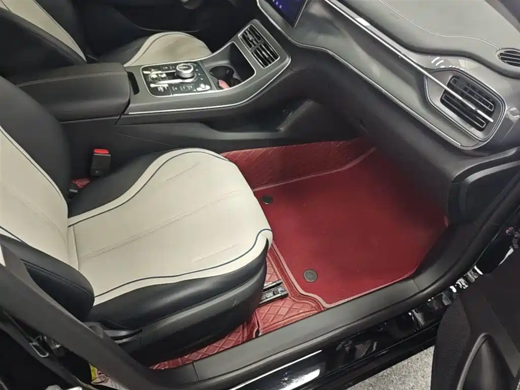 BYD Destroyer 05 2024 Glory Edition DM-i 120KM Luxury фото 25