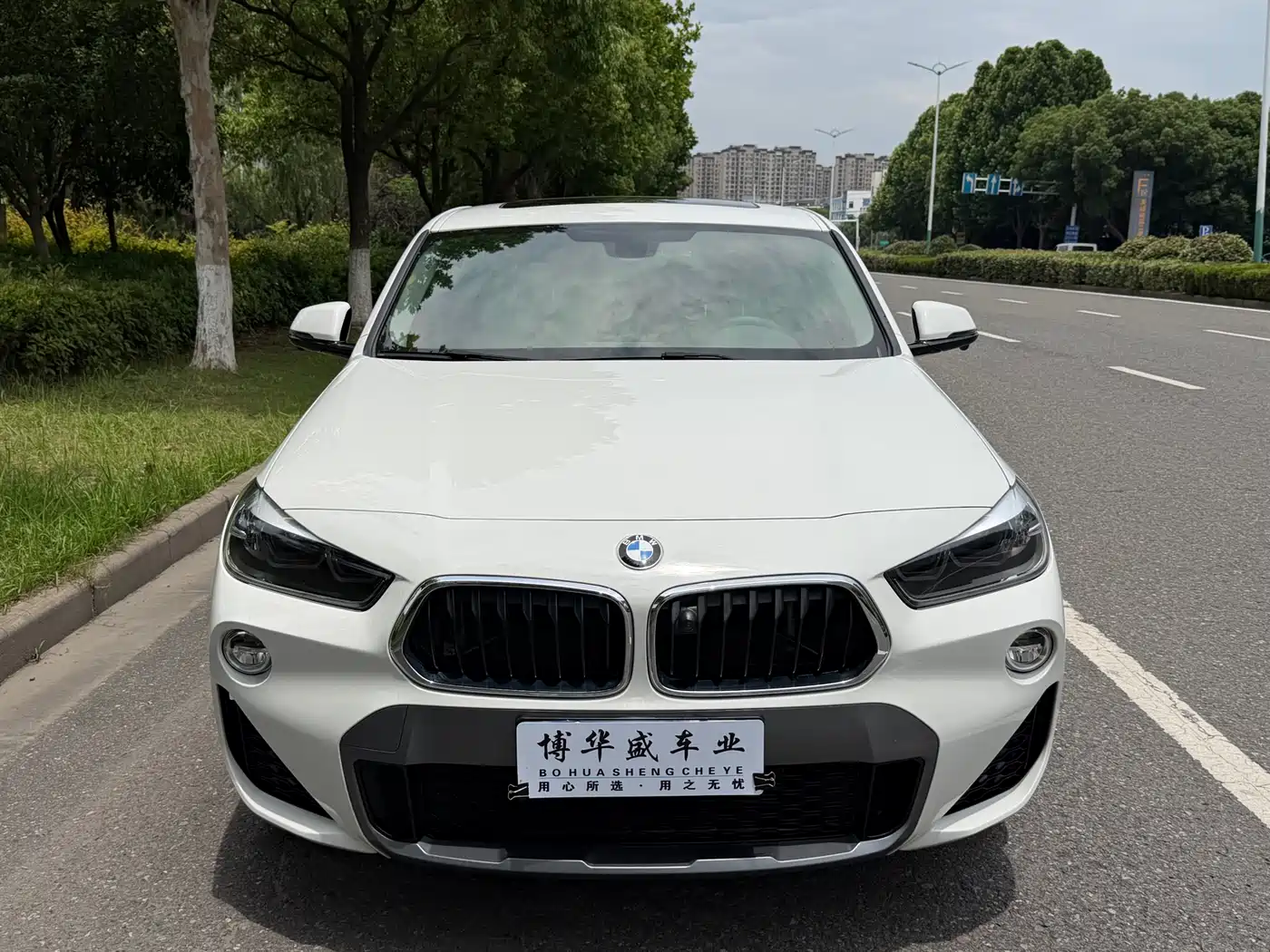 BMW X2 (Import) 2019 sDrive20i M Off-Road Package China VI фото 2