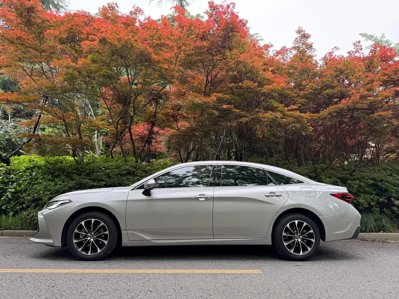 TOYOTA ASIAN DRAGON