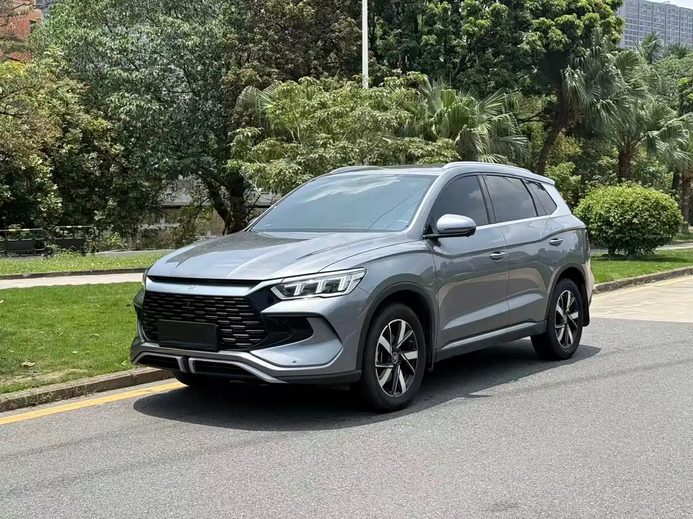 BYD Song Pro New Energy 2024 Glory Edition DM-i 71KM Pilot