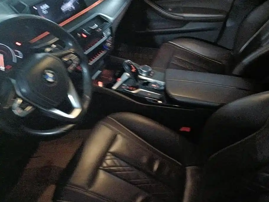 BMW 5 Series 2019 530Li Leading Luxury Package фото 16