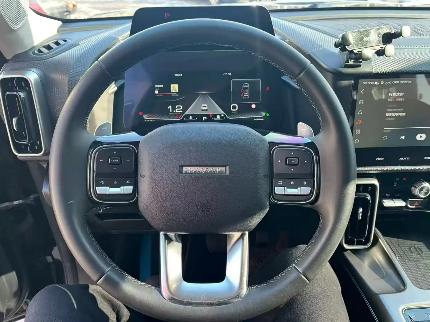 Haval Big Dog 2024 1.5T DCT Border Collie Edition фото 9