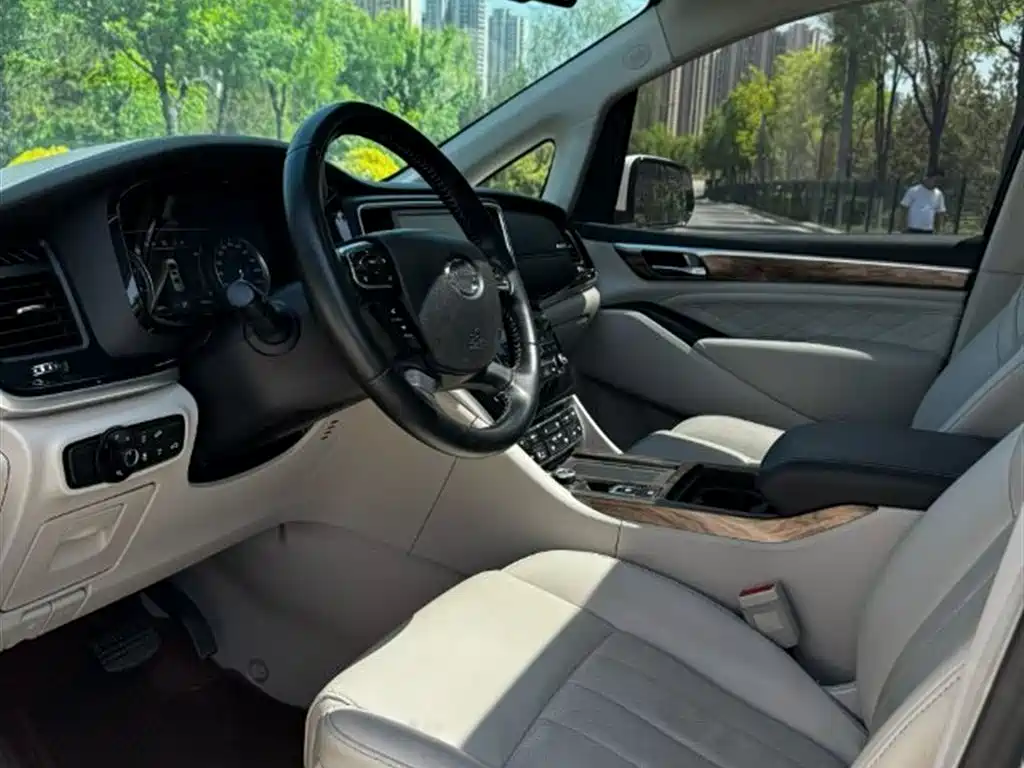 GAC Trumpchi Trumpchi M8 2020 Pilot 390T Ultimate Edition фото 9
