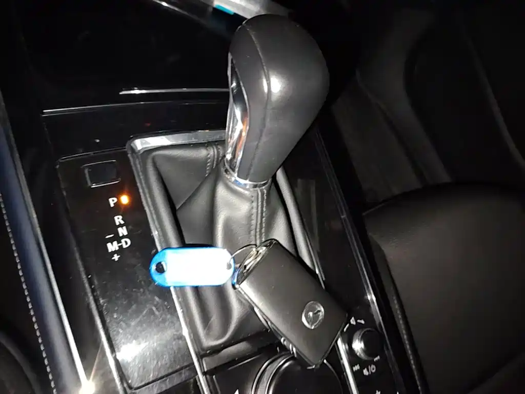 Mazda CX-30 2020 2020 2.0L Automatic Yayue